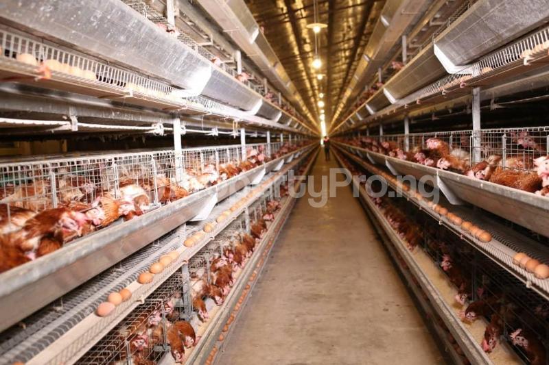 Commercial Property for sale Ijebu Ode Ogun