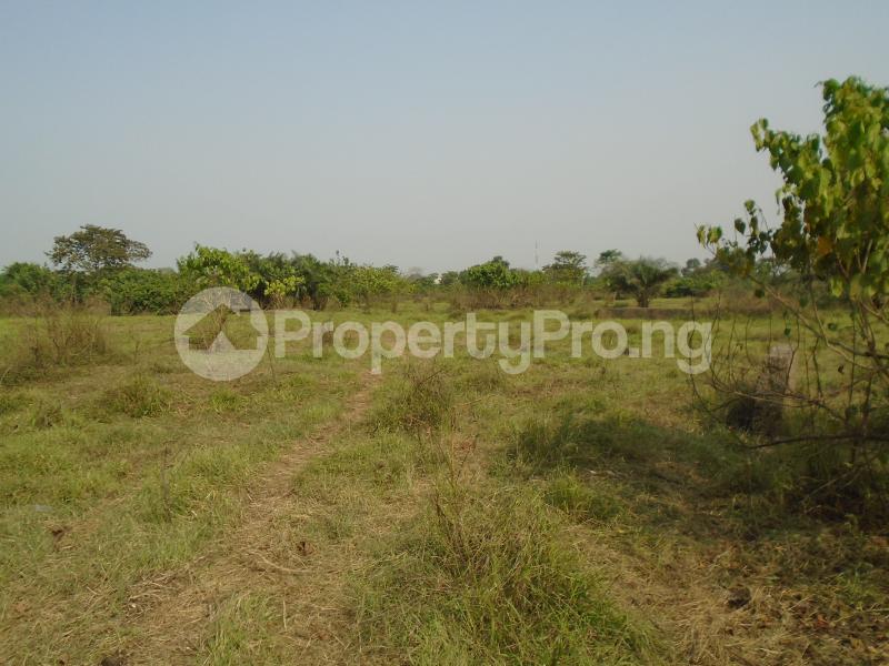 Land for sale Lagos Ibadan Expressway Wawa Ifo Ifo Ogun