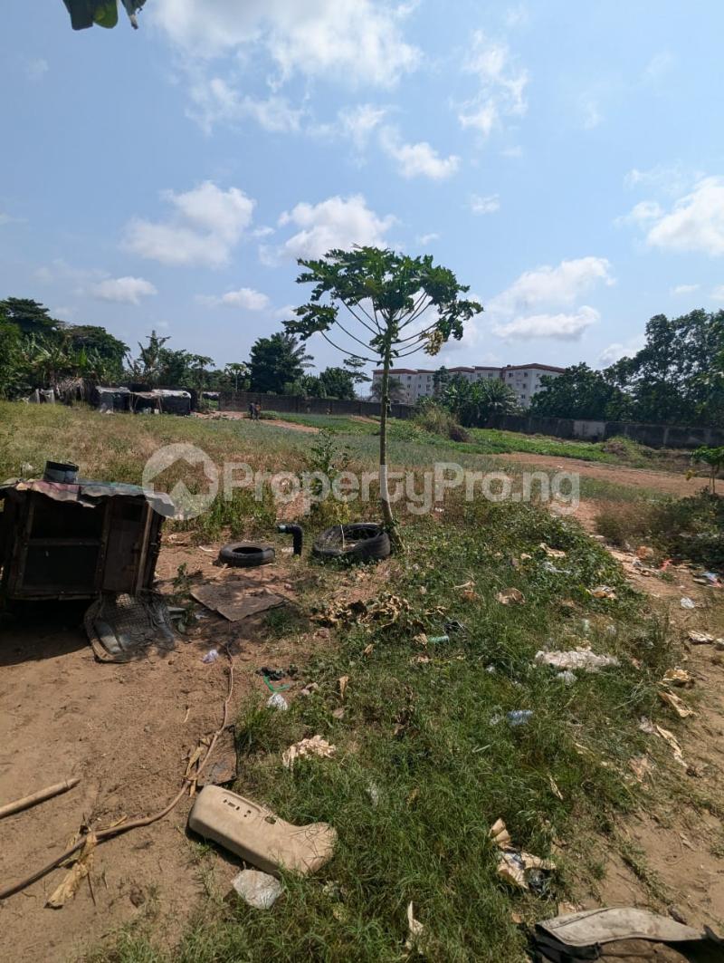 Commercial Property for sale Iyana Iba Road, Lasu Road Ojo Lagos