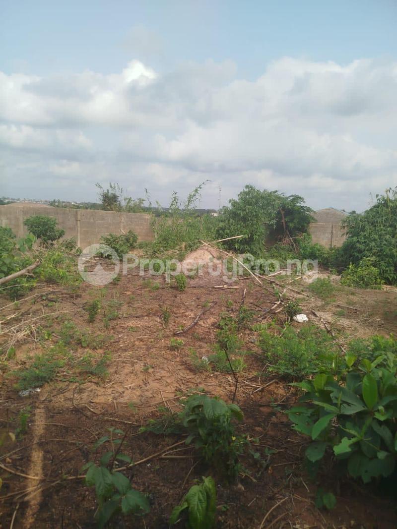 Land for sale Along Man Of God Street, Oshin Welder Bus Stop, Off Isehun Road Ayobo Ipaja Lagos - 0