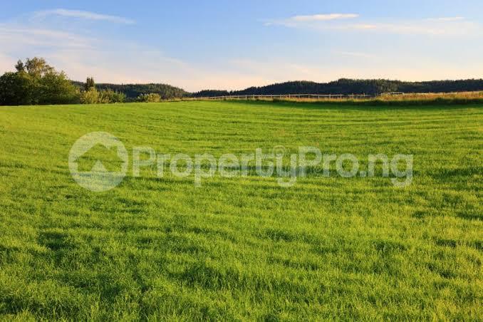 Land for sale Newtown Olaleye/iponri/apapa Road Ebute Metta Yaba Lagos