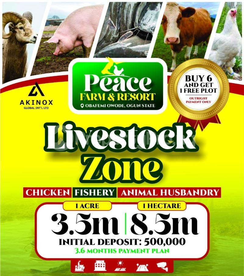 Land for sale Acres Of Land For Livestock Farming At Peace Farm And Resort, Ajebo Obafemi Owode Ogun