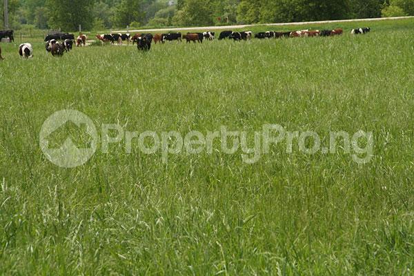 Land for sale Agidimbi Ikeja Lagos, By Dailytimes Side And Cocacola Company Agidingbi Ikeja Lagos