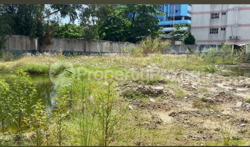 Land for sale  Adeola Odeku Victoria Island Lagos - 0