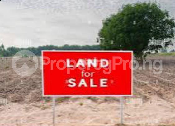 Land for sale Ogunusi Road Ojodu Omole phase 1 Ojodu Lagos