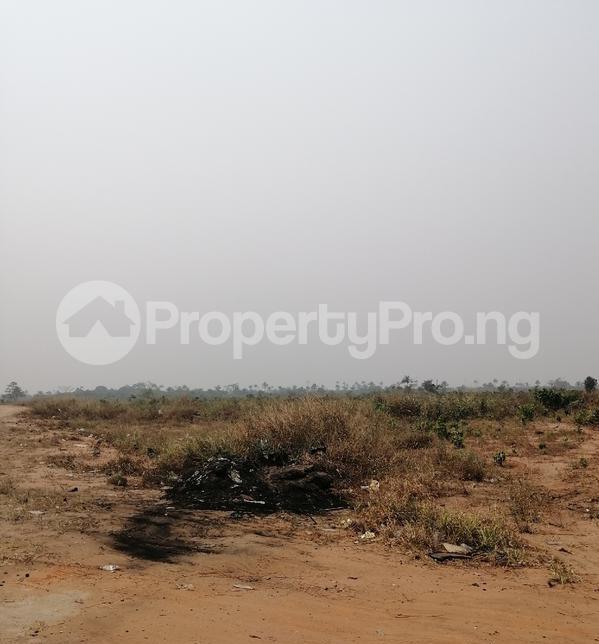 Land for sale Egbu/uratta Owerri Imo - 0