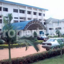 Land for sale At Back Of Juhel Company Emene Enugu Enugu Enugu - 0