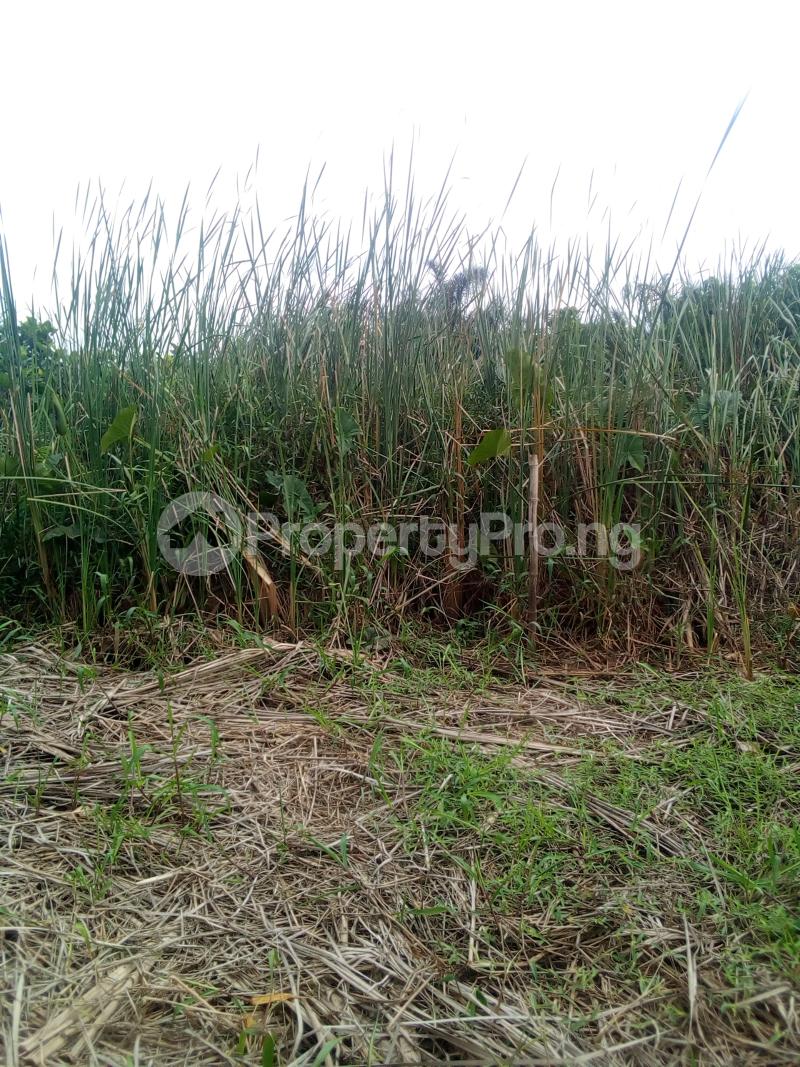 Land for sale Olowo Area Obawonle Ogba Lagos Ifako-ogba Ogba Lagos