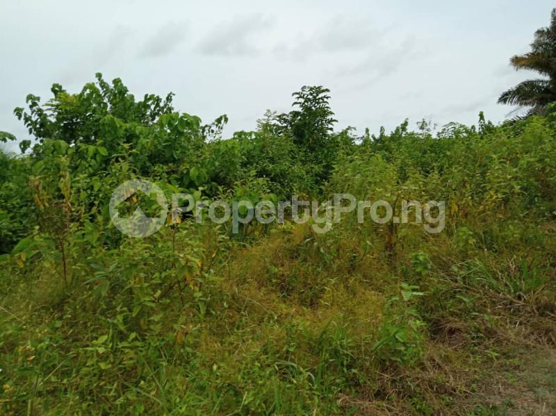 Land for sale Peter Memesin, New Site, Satelite Town Trade fair Apapa Lagos