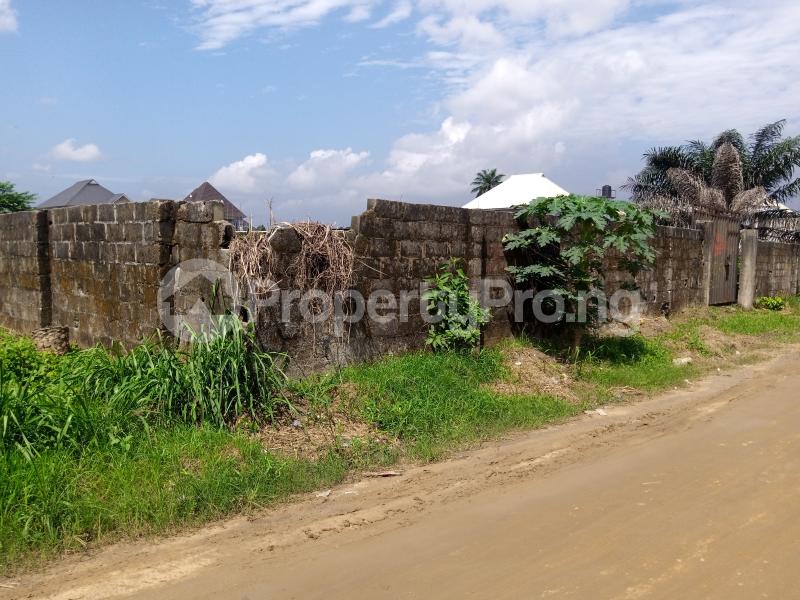 Land for sale Cornerstone Rd, Off Nta Obia-Akpor Port Harcourt Rivers - 0