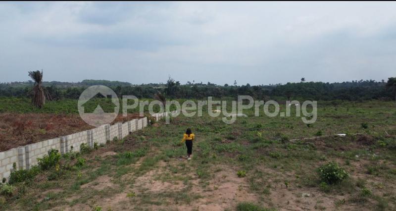 Land for sale Odo Lofa Isiwo Epe Lagos - 0