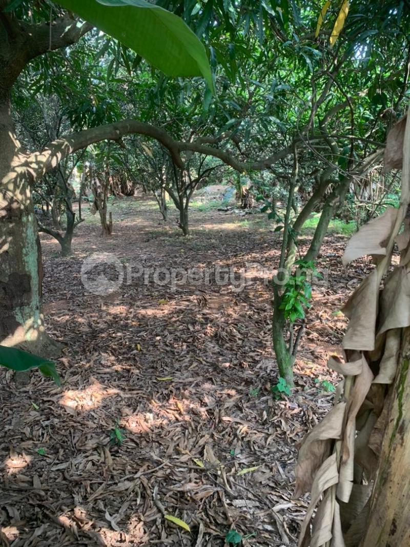 Land for sale Ikolaba Gra Bodija Ibadan Oyo