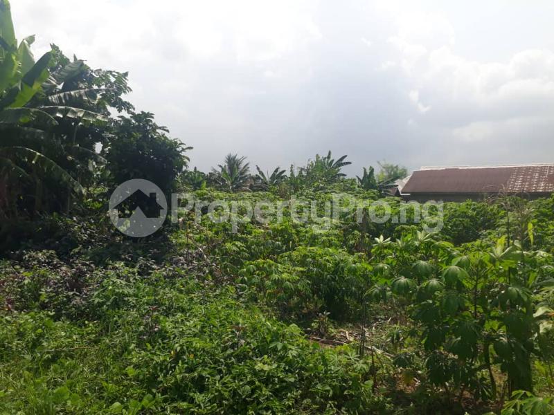 Land for sale Along Stadium Road Uyo Akwa Ibom - 0