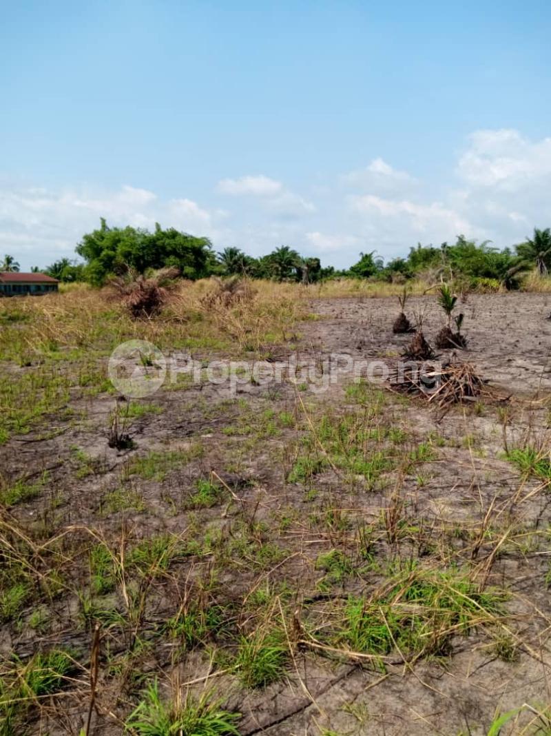 Land for sale Billionaire's Estate Isiagu Awka Awka South Anambra