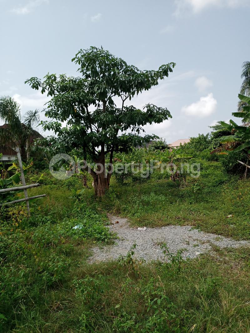 Land for sale Facing Express At Sangotedo Sangotedo Ajah Lagos - 0