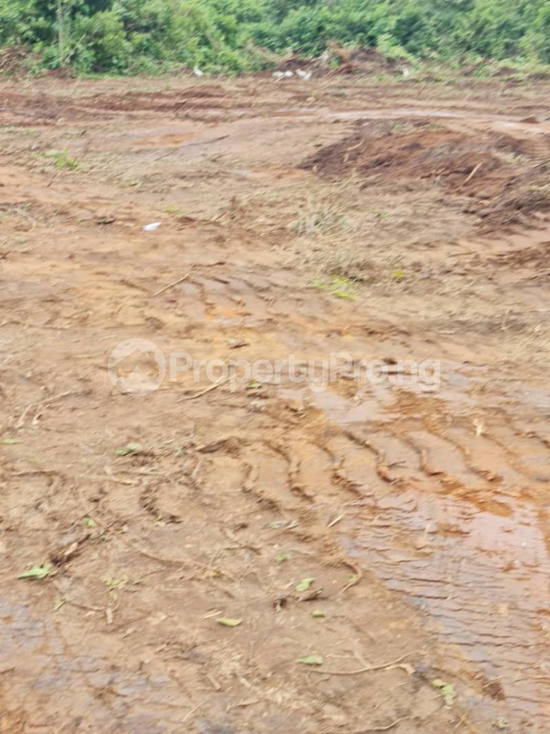 Land for sale Elite Green Life Estate Akonike, Near Innoson Motor Tyre Factory Enugu Enugu