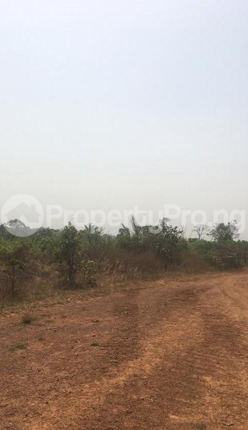 Land for sale Ndegwu Road Owerri Irete Owerri Imo
