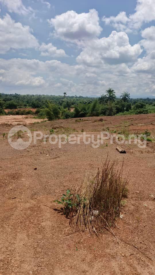 Land for sale Elim Estate Ibagwa Nike, Enugu Enugu - 0