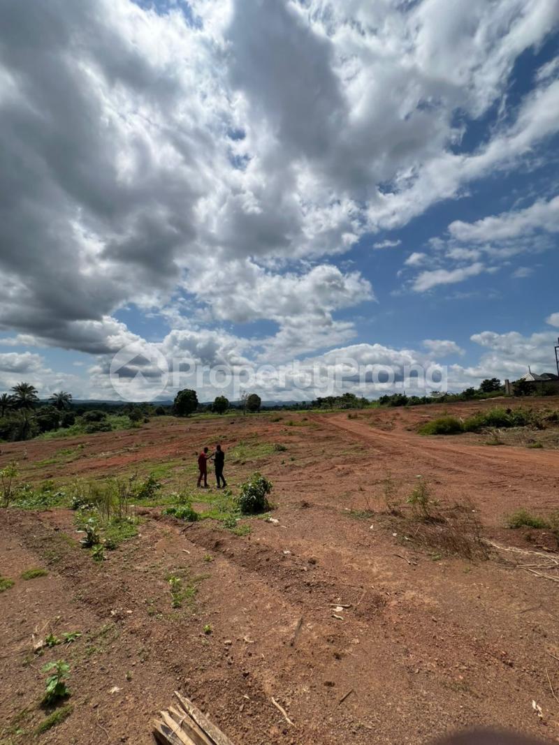 Land for sale Elim Estate Ibagwa Nike, Enugu Enugu - 0