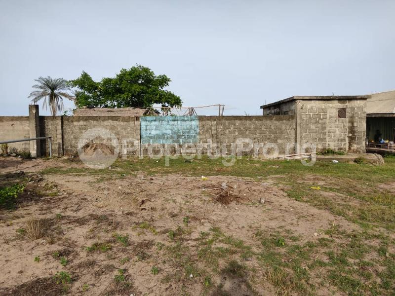 Land for sale Olomowewe Community,opposite Hedge Resort Free Trade Zone Ibeju-Lekki Lagos - 1