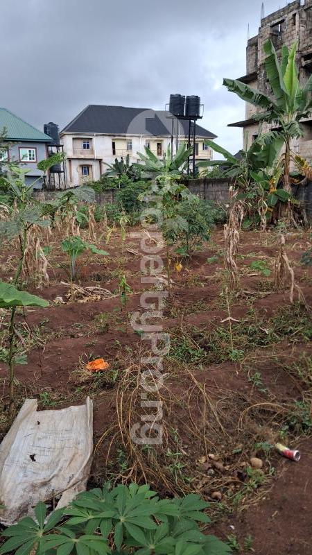 Land for sale Rochas Foundation Owerri Imo