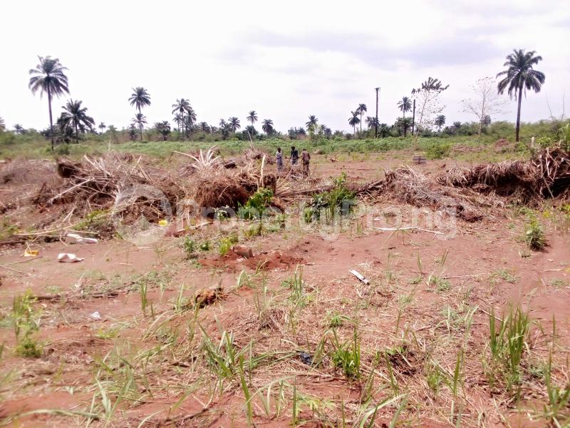 Land for sale Ebeonadi Luxury City Close To Oko Market, Asaba Oshimili North Delta