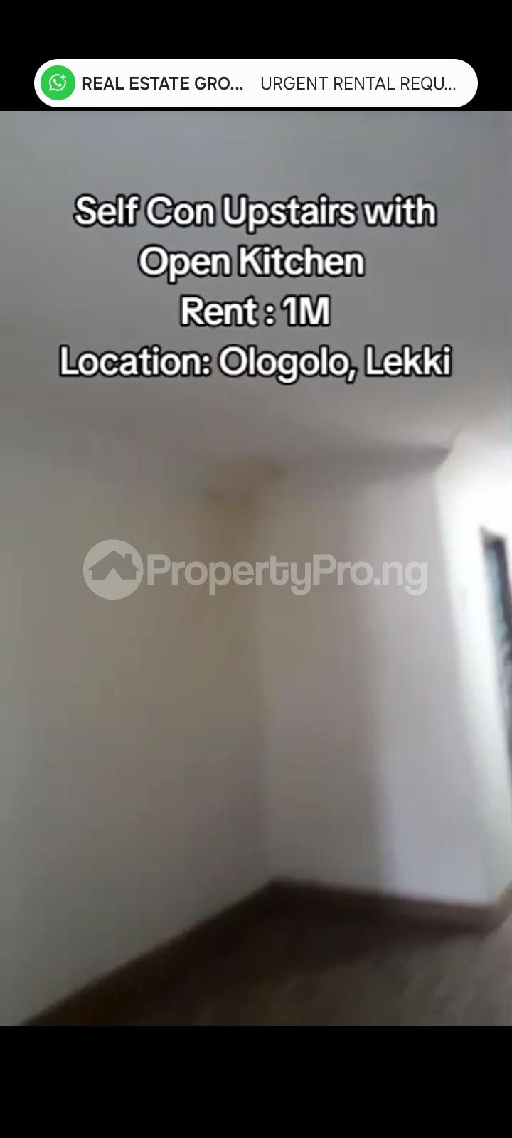 1 bedroom Flat / Apartment for rent Ologolo Lekki Lagos