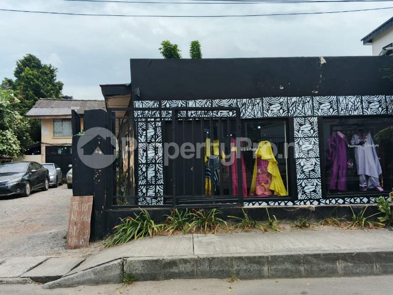 Commercial Property for sale South West Ikoyi Parkview Estate Ikoyi Lagos - 0