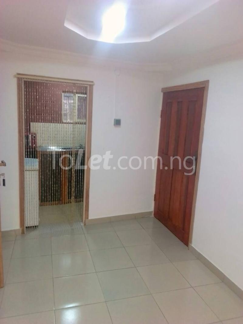 1 bedroom Flat / Apartment for rent Adeniran Ogunsanya Adeniran Ogunsanya Surulere Lagos