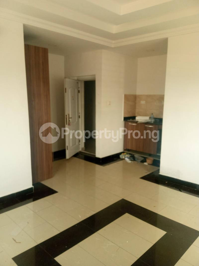 1 bedroom Flat / Apartment for rent New Horizon Estate Ikate Lekki Lagos