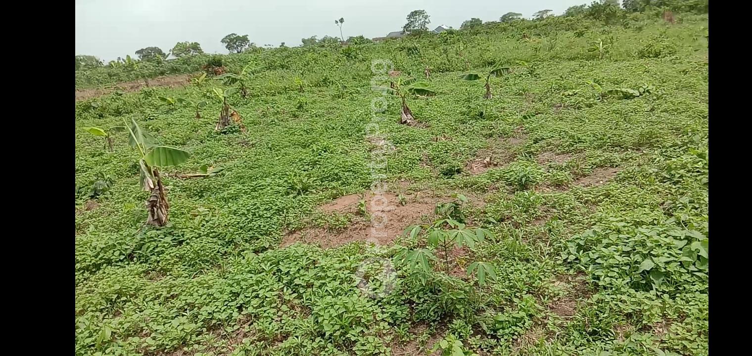 Land for sale Kudeyibu Ijegun Ikotun/Igando Lagos