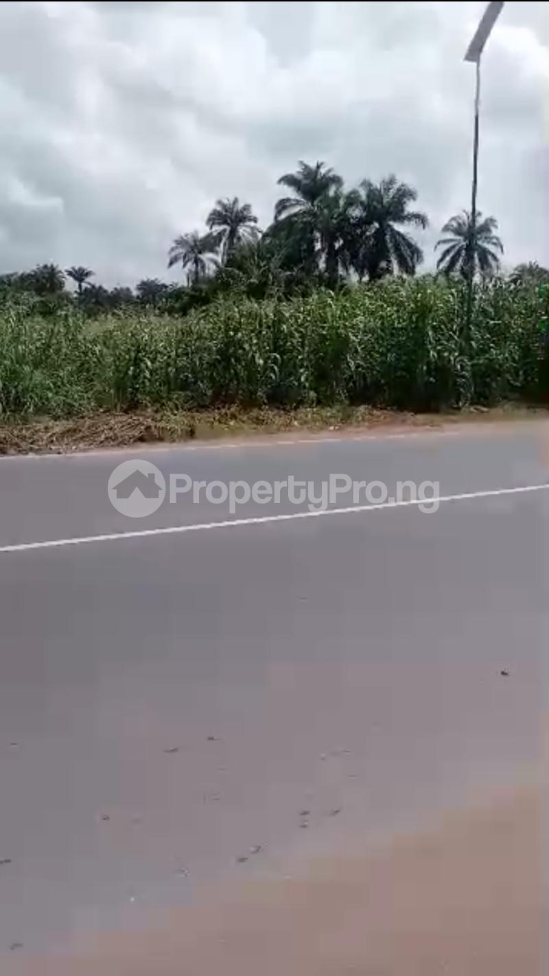 Land for sale Ahiara Junction Mbaise Owerri Imo - 0