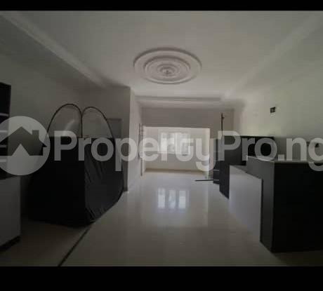 Commercial Property for rent Maitama Abuja