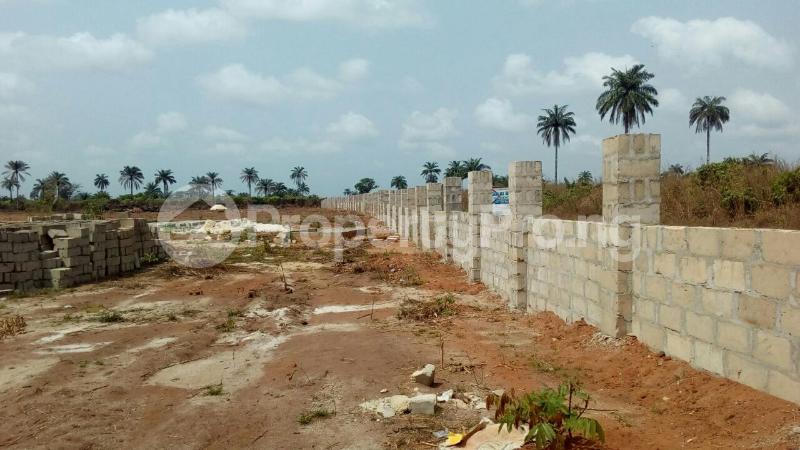 Land for sale Amakaohia Ubi Owerri Imo - 0