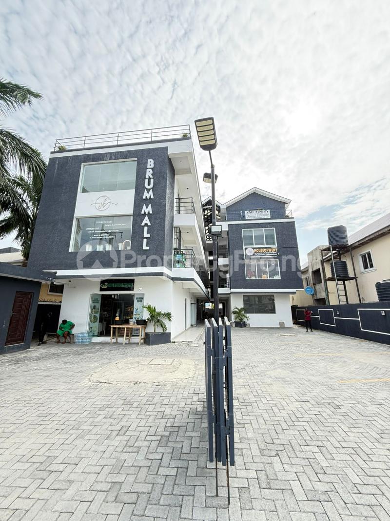 Commercial Property for sale Ologolo Lekki Lagos