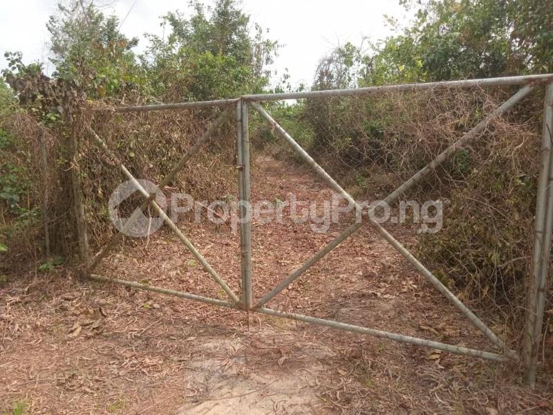 Land for sale Along Igbodu/isiwo Road Ladeke Village, Off Epe Ikorodu Rd, Epe Road Epe Lagos