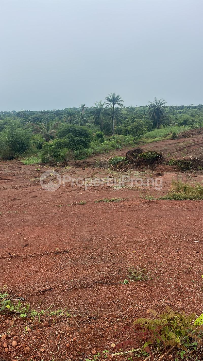 Land for sale Elim Estate Ibagwa Nike, Enugu Enugu - 2