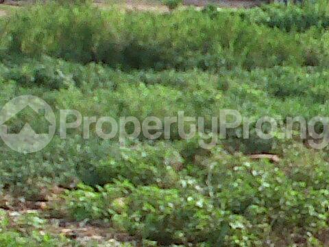 Land for sale   Ajao Estate Isolo Lagos
