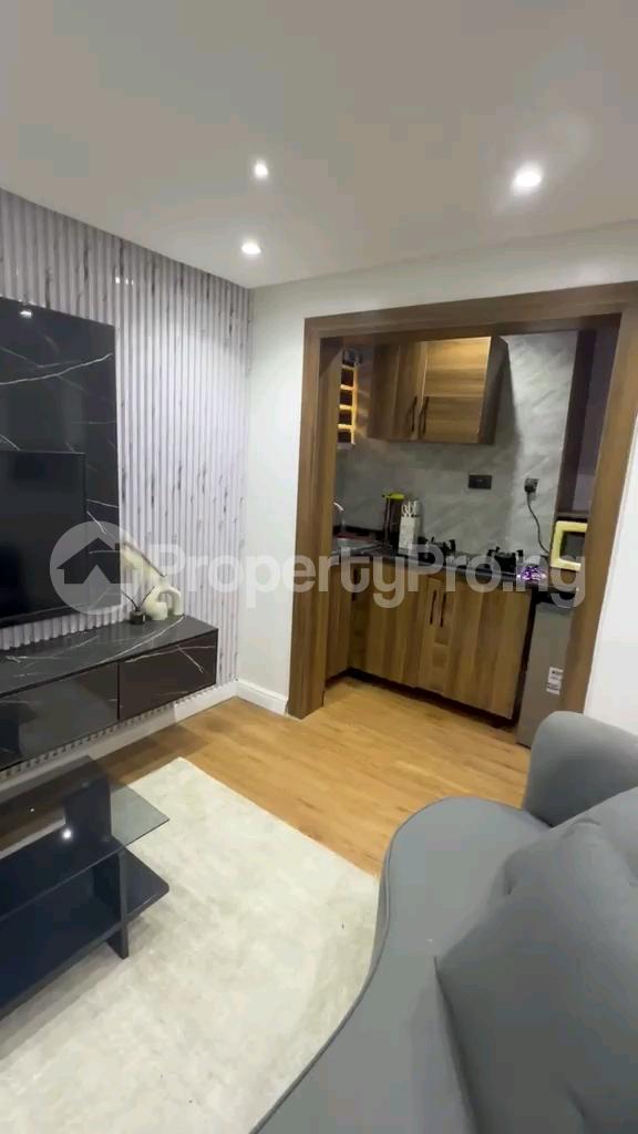1 bedroom Flat / Apartment for rent Off Awoyokun Ilupeju Lagos