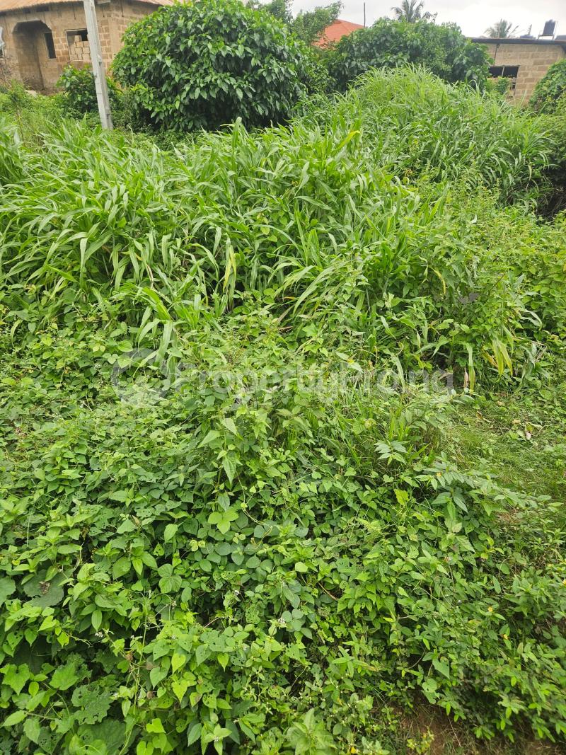 Land for sale Elebu Oluyole Extension Akala Express Ibadan Oyo