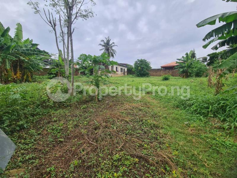 Land for sale Palms Garden Estate, Green Gate Oluyole Estate Ibadan Oyo