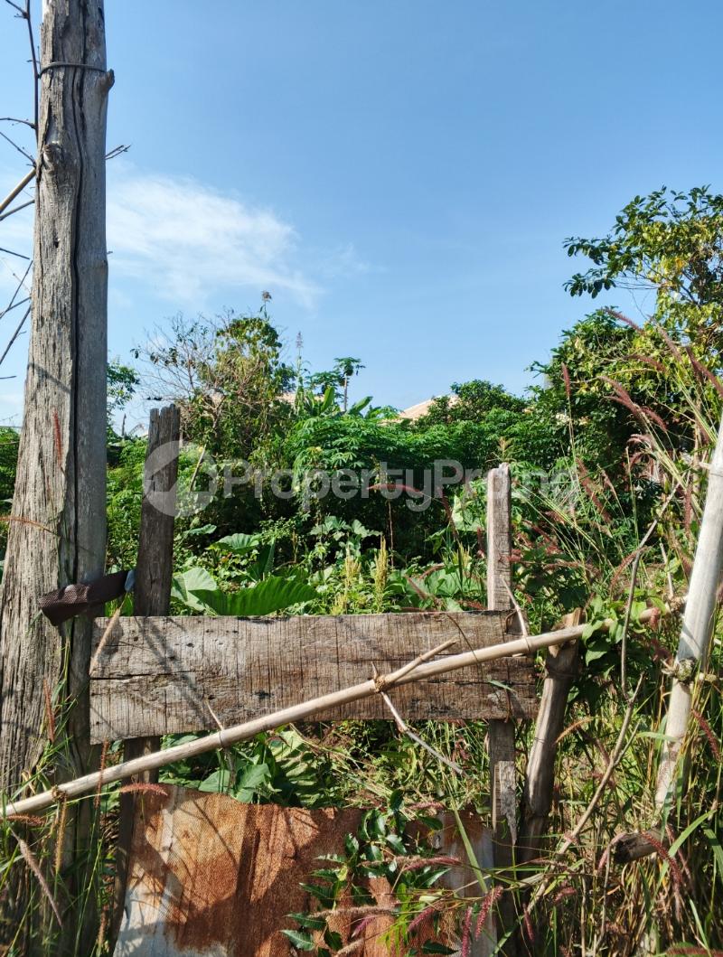 Land for sale Area 1 Liberty Academy Road Off Akala Express Ibadan Akala Express Ibadan Oyo - 0