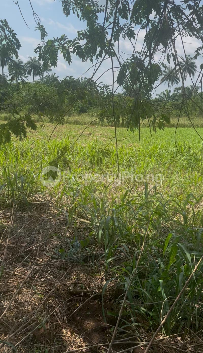 Land for sale 23 Be Happy Station Oru Ijebu Ogun State Ijebu Ode Ijebu Ode Ogun