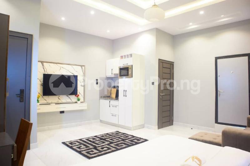 1 bedroom Flat / Apartment for shortlet Off Oduduwa Crescent, Ikeja Gra Ikeja GRA Ikeja Lagos