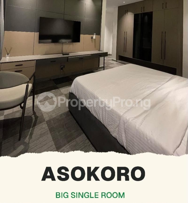 Flat / Apartment for shortlet Asokoro Abuja