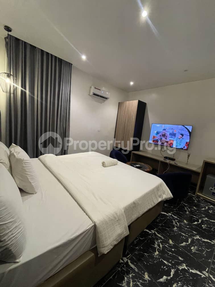 1 bedroom Flat / Apartment for shortlet  Ikate Lekki Lagos - 8