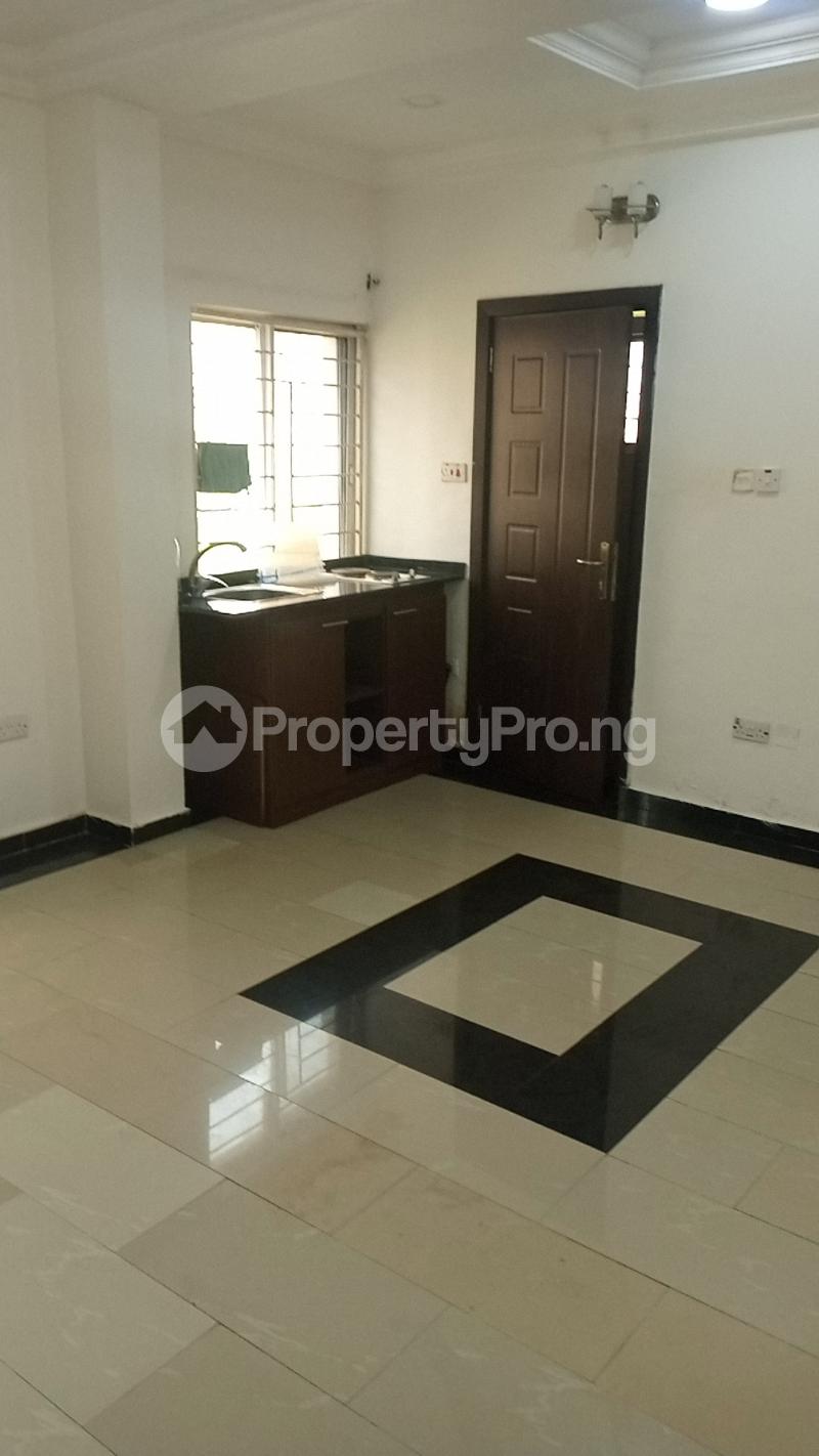 1 bedroom Flat / Apartment for rent New Horizon 1 Ikate Lekki Lagos