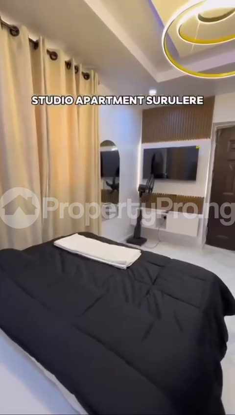1 bedroom Flat / Apartment for shortlet Surulere Lagos - 2