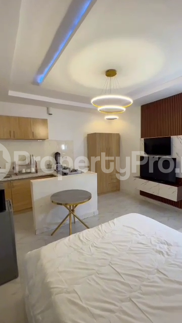 1 bedroom Flat / Apartment for shortlet Surulere Lagos