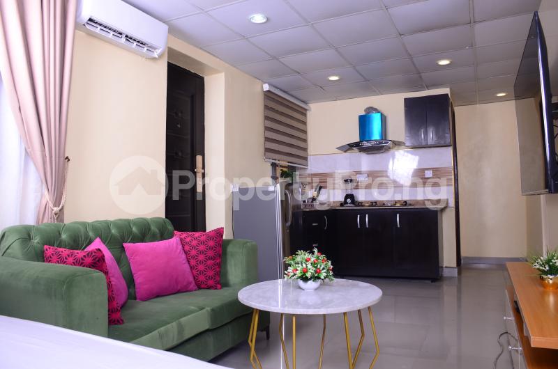 1 bedroom Flat / Apartment for shortlet 1004 Victoria Island Lagos - 1
